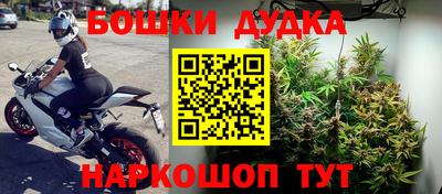 стаф Гусиноозёрск