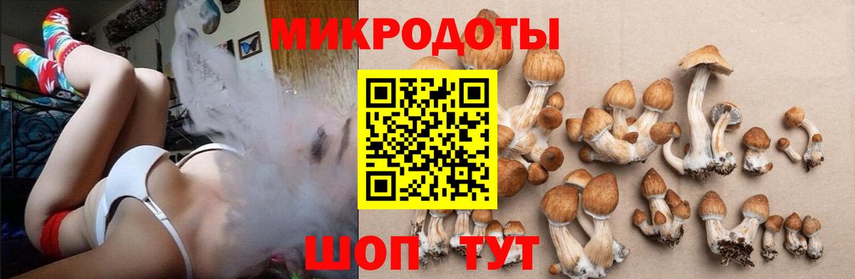дарнет шоп  Вход с VPN  Чернушка  Галлюциногенные грибы Psilocybine cubensis 