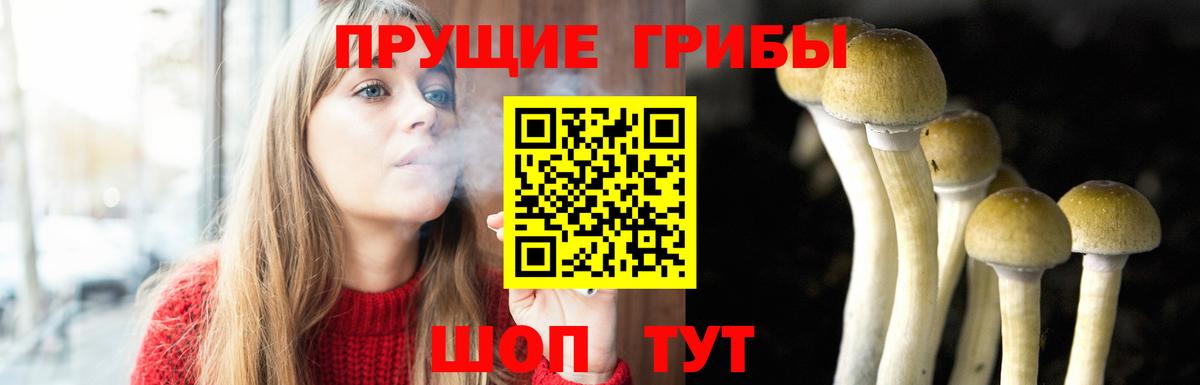 Псилоцибиновые грибы ЛСД Чернушка